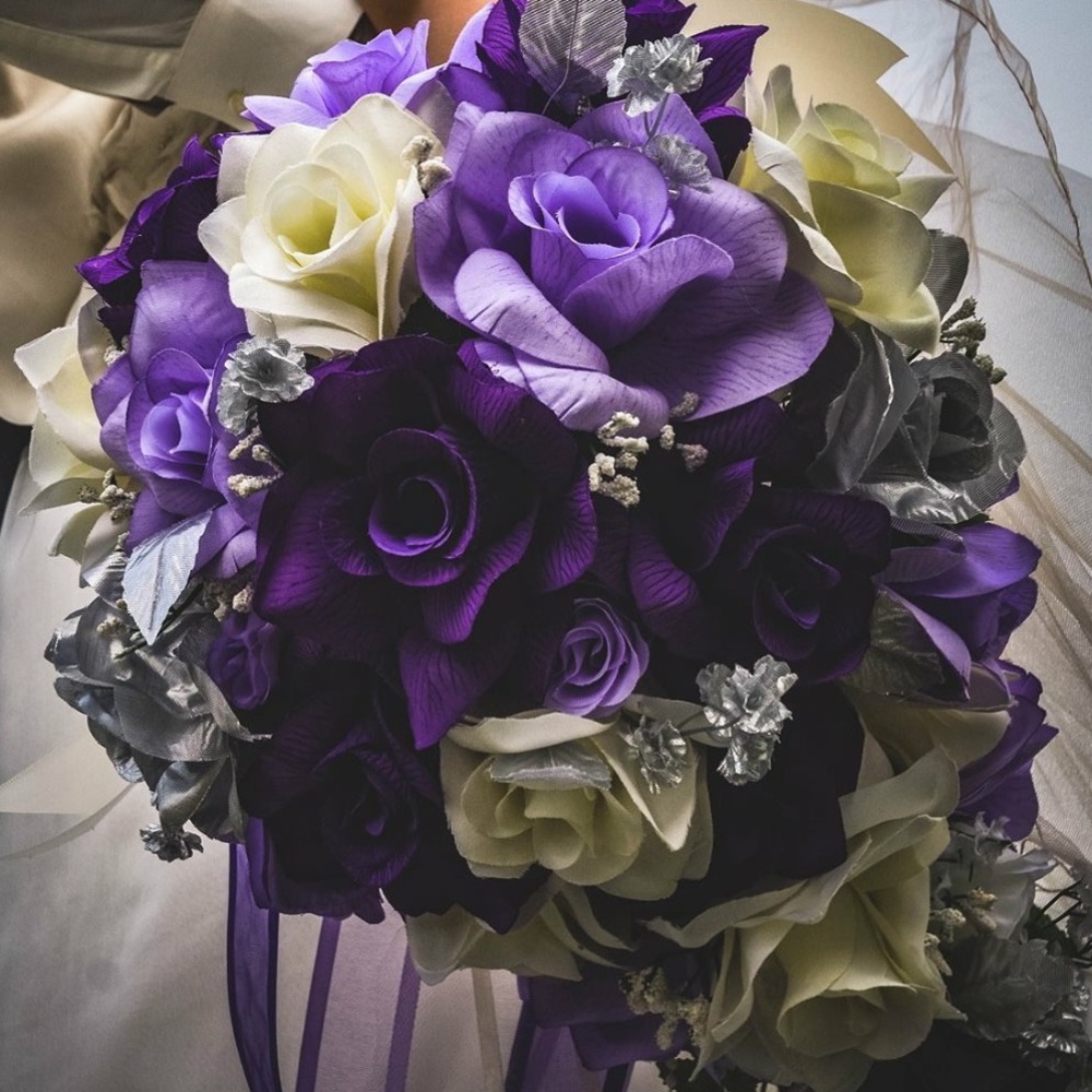 Meet your Posher, Bella